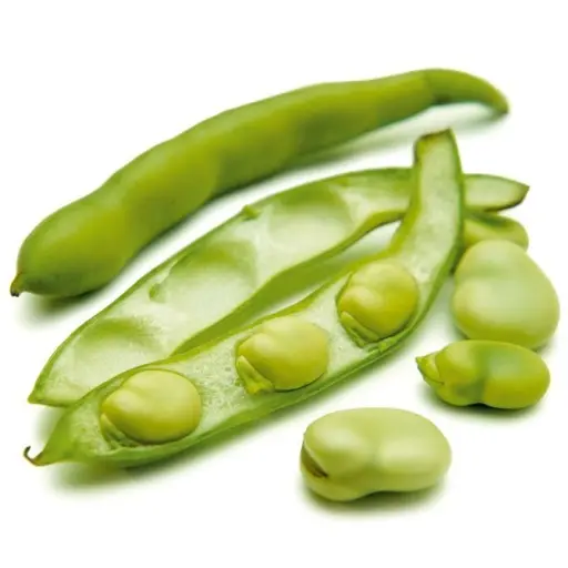 FÈVES - (500G) - فول 