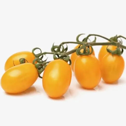 TOMATE CERISE JAUNE - (500G) - طماطم كرزية صفراء 