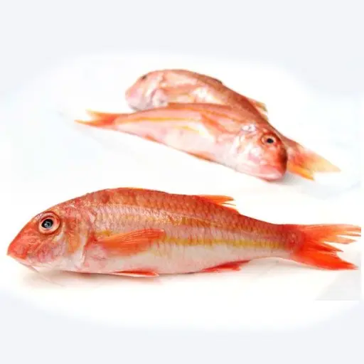Rouget - (500G) - البوري الأحمر 