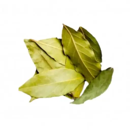 FEUILLES DE LAURIER - (50G) - ورقة سيدنا موسى 
