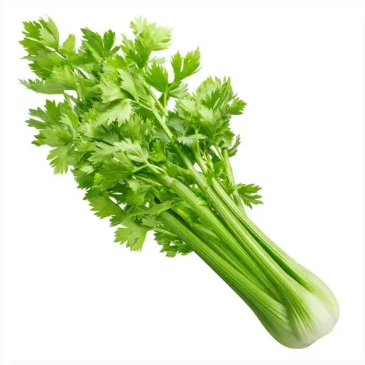 CELERI - (U) -كرافس 