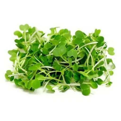 MICRO HERBES - (U) - براعم صغيرة 