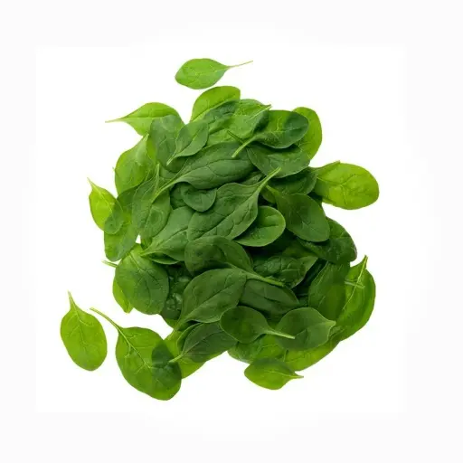 POUSSE EPINARDS - (U) - سبانخ صغيرة 