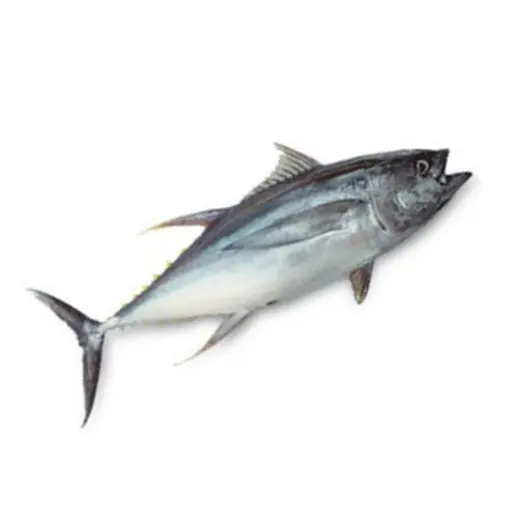 Thon - (500G) - الطون 