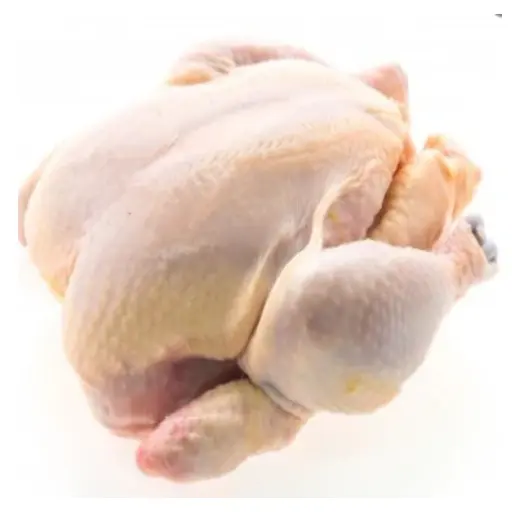 POULET ENTIER - (U) - دجاج كامل 