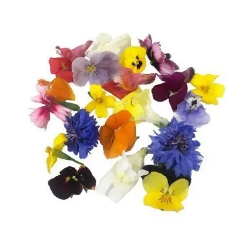 FLEUR COMESTIBLE - (U) - زهرة صالحة للأكل 