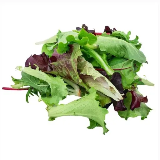 MESCLUN DE SALADE - (U) - مسكلان سلاد 