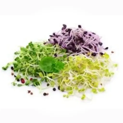 MICRO POUSSE BARQUET - (U) - خضرة صغيرة في علبة 