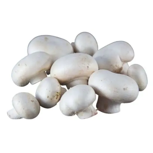 CHAMPIGNON BLANC - (250G) -فطر أبيض 