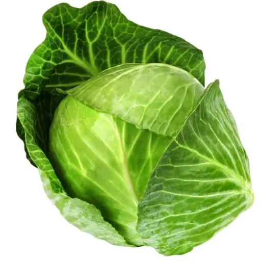 CHOUX VERT - (500G) - كروم خضراء 