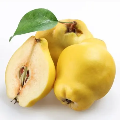 COING - (500G) - سفرجل 